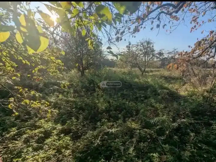 Land plot in Napareuli
