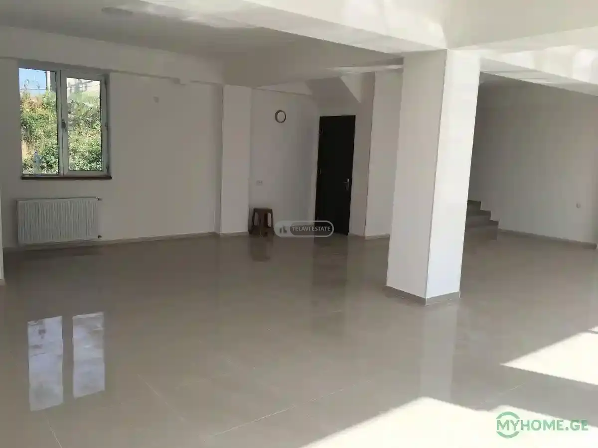 Commercial property in Telavi